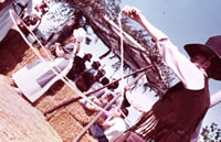 Festival428